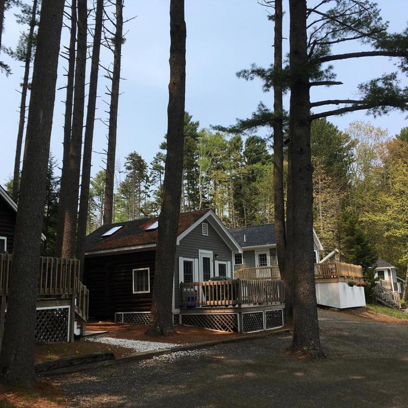 Pine Grove Cottages Линкольнвилл Экстерьер фото
